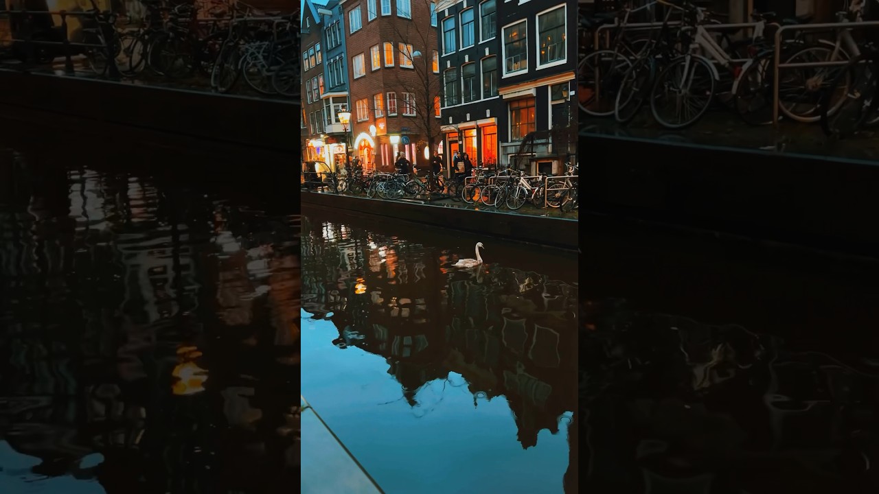 Amsterdam Red Light District Walk 🚶‍♀️ Full Tour
