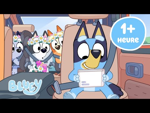 🔴VIVRE: Moments de chance pour Bluey ✨ | Bluey Français Chaîne Officielle