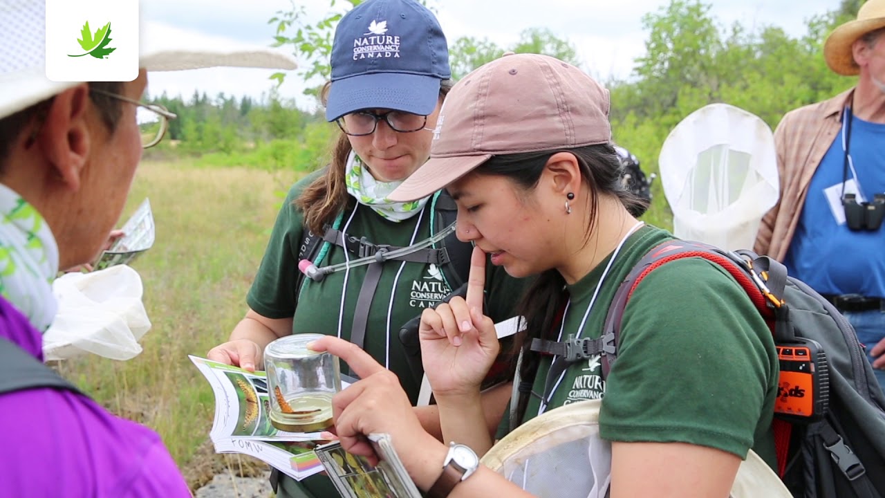 Why Is Citizen Science Important? π±