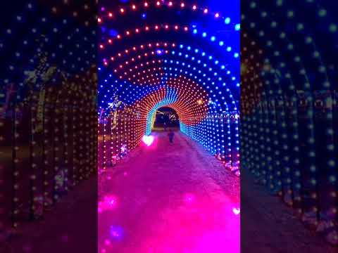 Gali Gali Saj Gayi Shahar Shahar Saj Gaya Aaye#trending #viral #youtubeshorts #islam #nabimuhammad