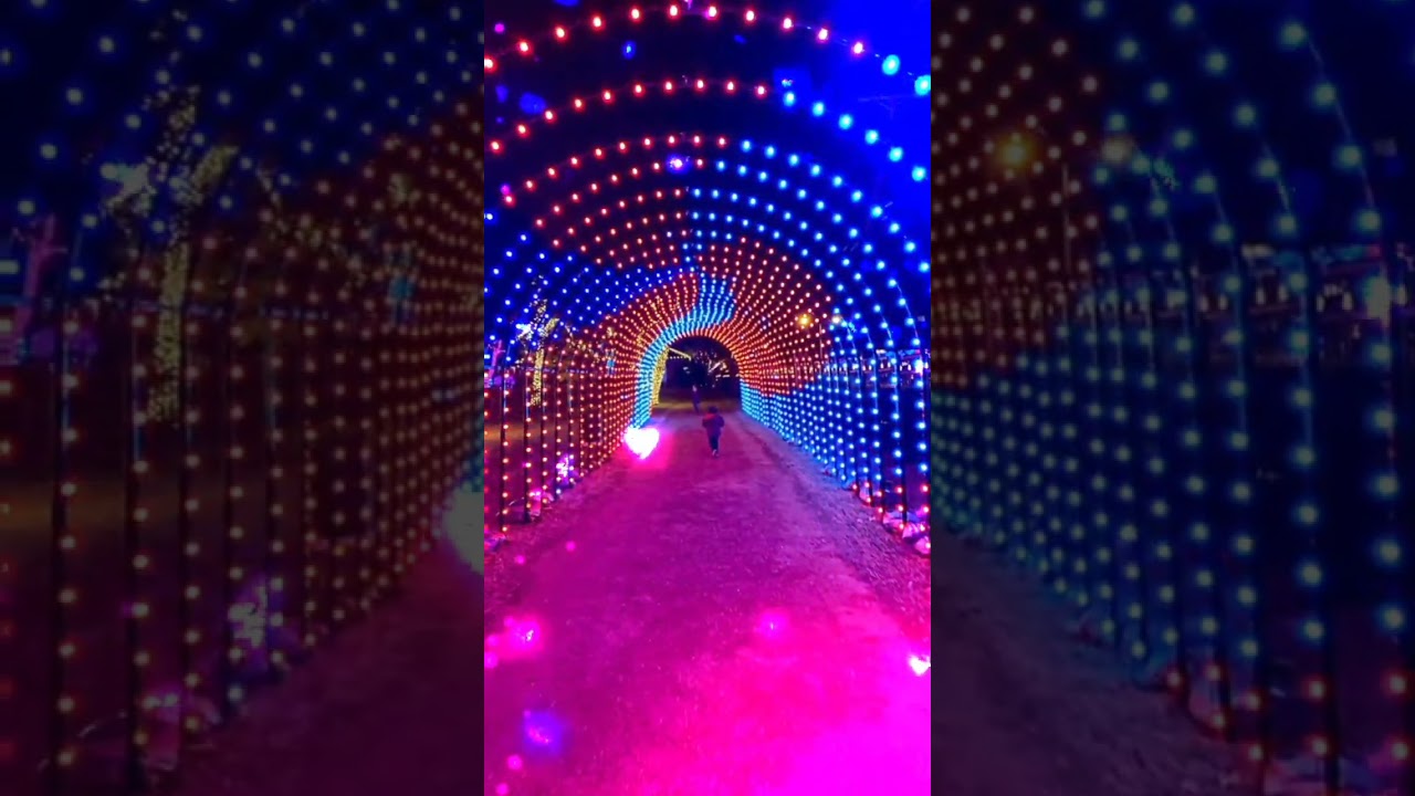 Gali Gali Saj Gayi, Shahar Shahar Saj Gaya ✨ | Trending Viral Shorts