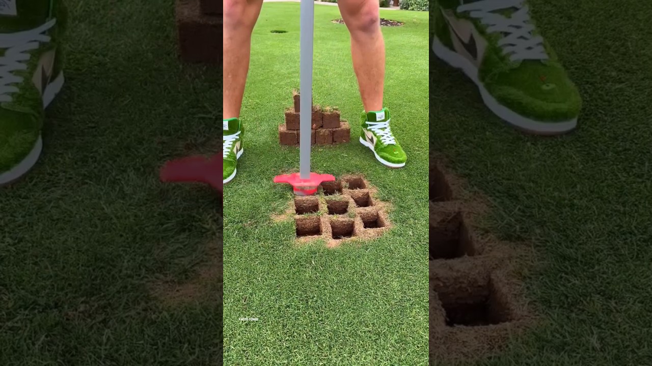 Transform Your Garden with Stunning Artificial Grass Installation 🌱