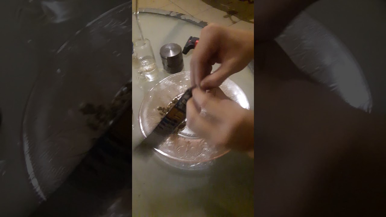 Mastering the Art of Rolling a Blunt 🚬