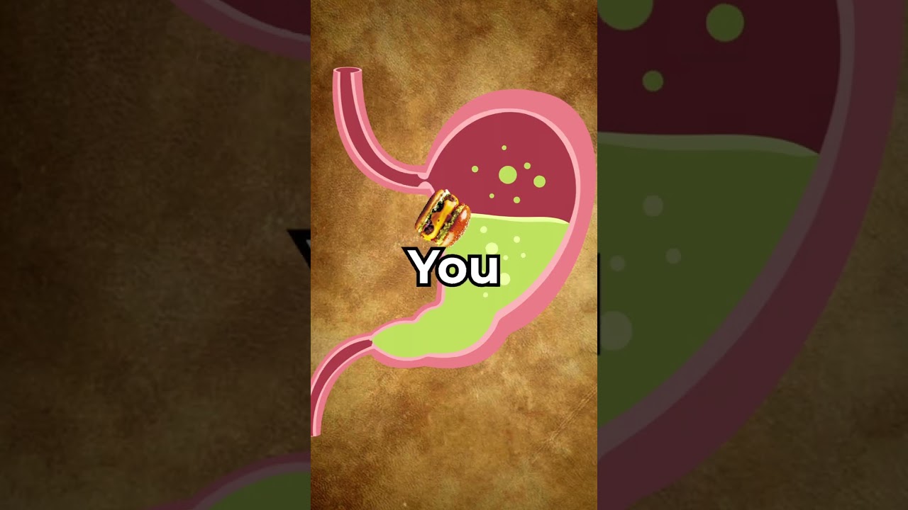 Why Do Fancy Restaurants Serve Small Portions? 🍽️