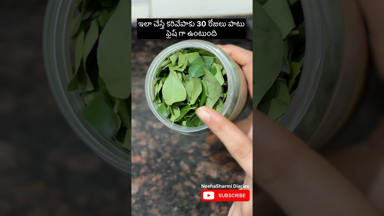 30 రోజుల పాటు కరివేపాకు తాజా ఉంచాలంటే 🪴