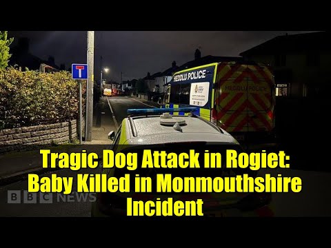 Tragic Dog Attack in Rogiet: Baby Killed in Monmouthshire Incident | Breaking News