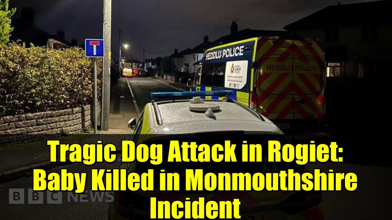 Tragic Dog Attack in Rogiet: Baby Killed in Monmouthshire 🐶💔