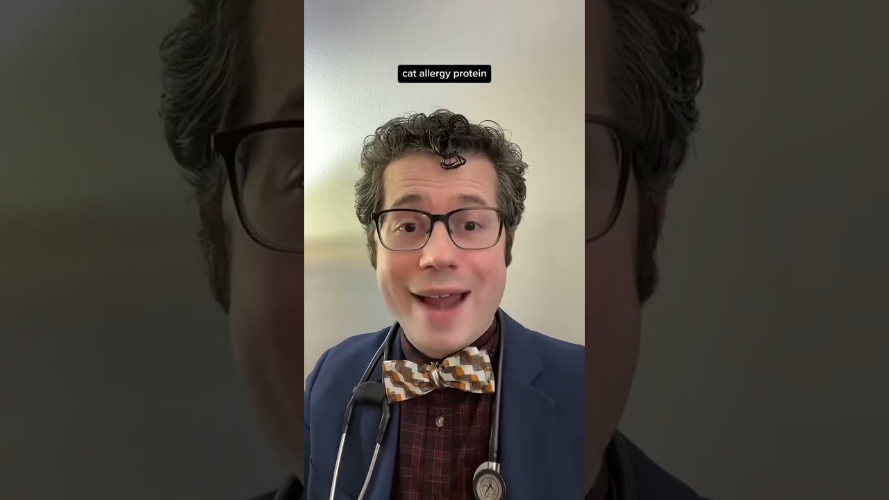 DIY approach may have mixed results #food #cat #allergies