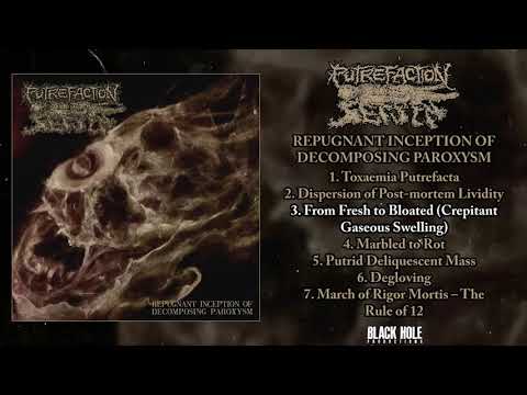 Putrefaction Sets In - Goregrind Album (2022) 💀