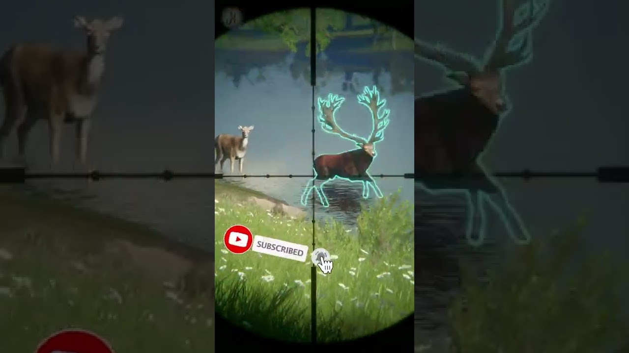 Big Red Deer Diamond Shot with .243 Handgun🤩