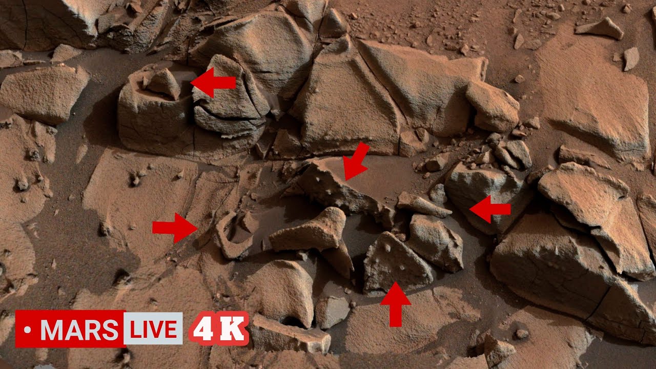 Perseverance Captures Stunning Footage of Belva Crater 🚀