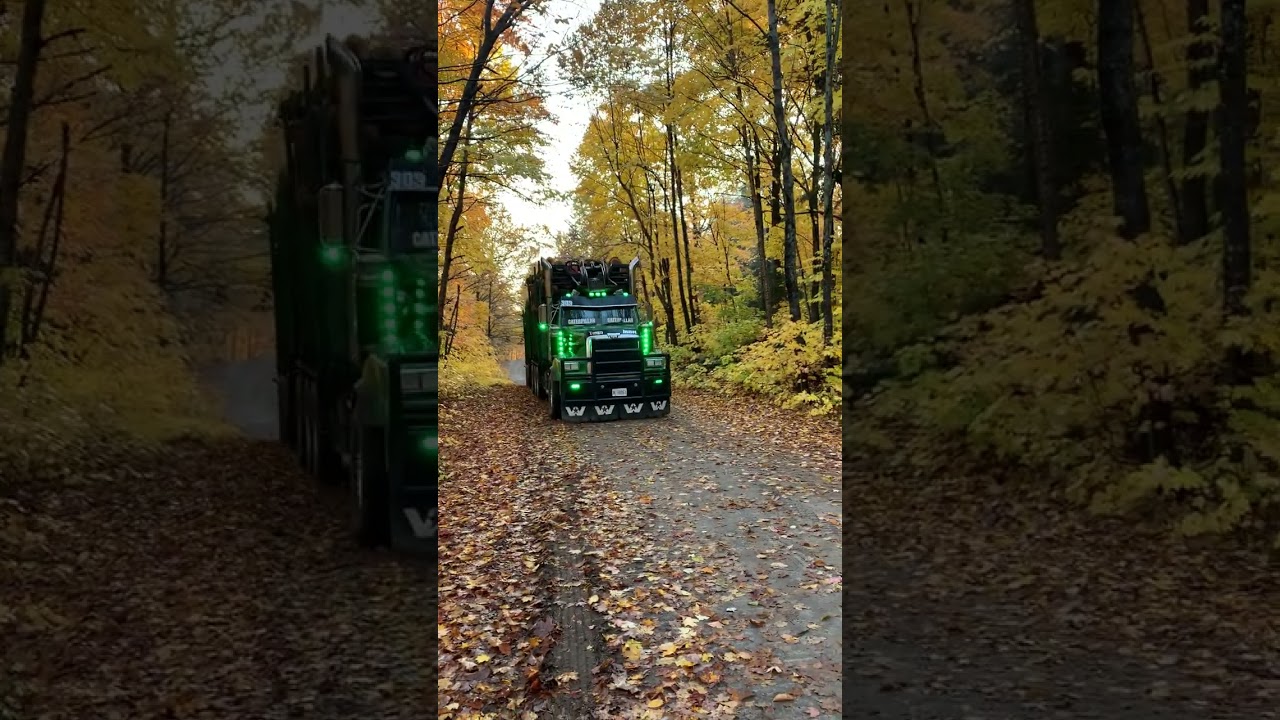 Custom Western Star Truck Featuring Serco Log Loader