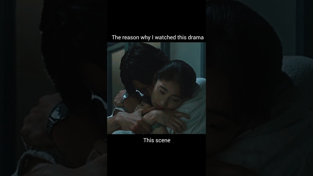 Winter Bear: K-Dramas, BTS & More ❄️