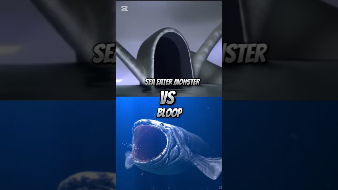 Sea Eater Monster vs Bloop 🌊