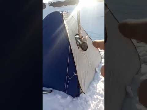 первая палатка.рыбалка с ночевкой.