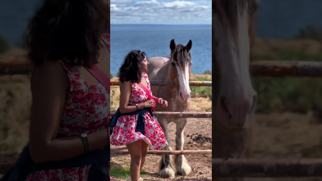 Top Activities on Cape Breton Island ποΈ