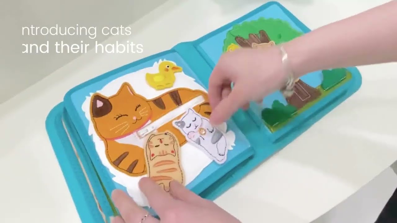 My First Book - Lucky Cat 📖 | mimi mono