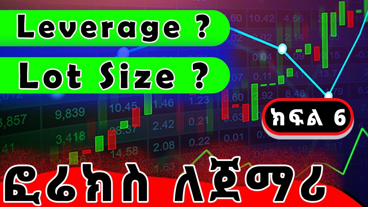 What is Leverage | What is Lot Size ? ( Part 6 ). Forex Trading Course Ethiopia. ፎሬክስ ለጀማሪ 6