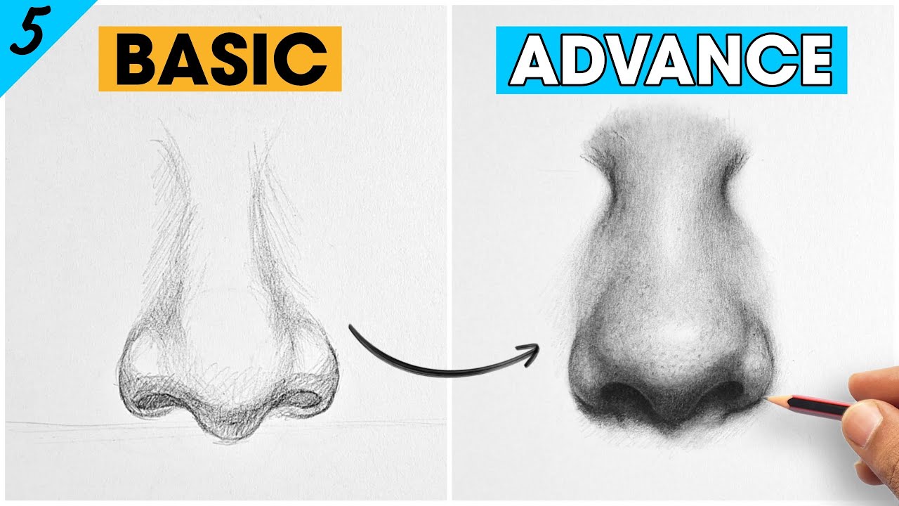 Nose Drawing Guide: From Basic to Advanced 🎨