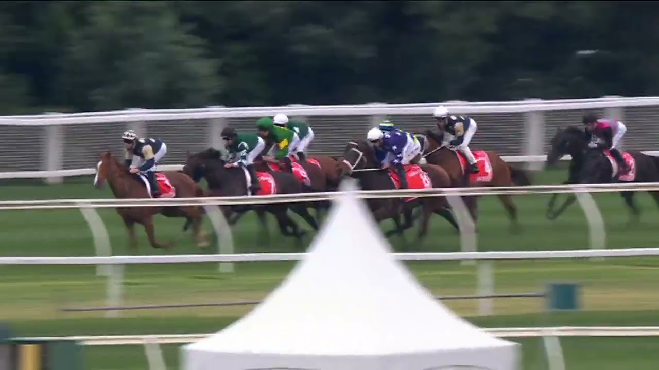 VIA SISTINA - Cox Plate 2025 (3YO+ WFA G1) Group 1 Moonee Valley 25 October 