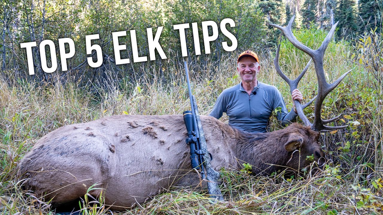 Randy Newberg’s Top 5 Rifle Elk Hunting Tips for Success 🦌