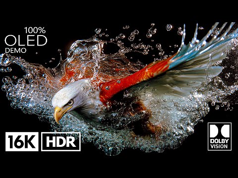 8K Video ULTRA HD