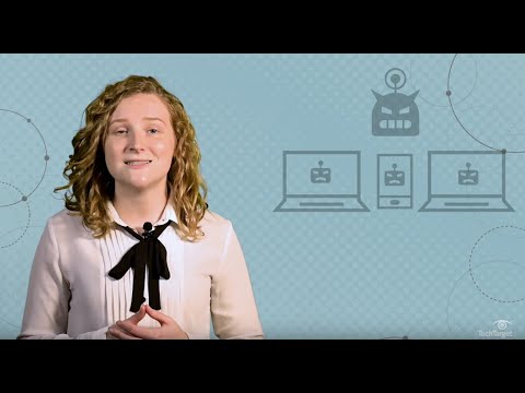 What Is a Botnet & How Does It Work? 🕷️