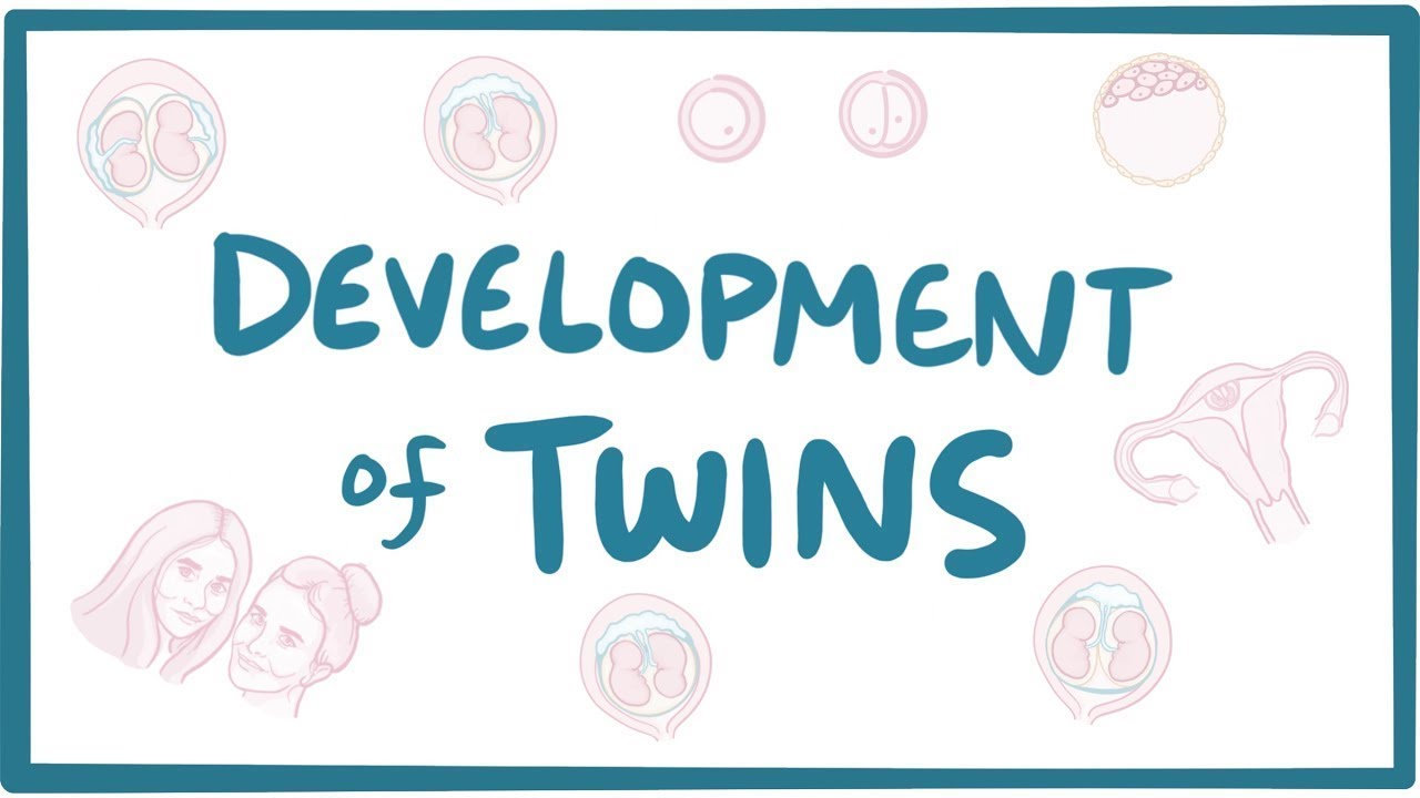 Twin Development Insights π