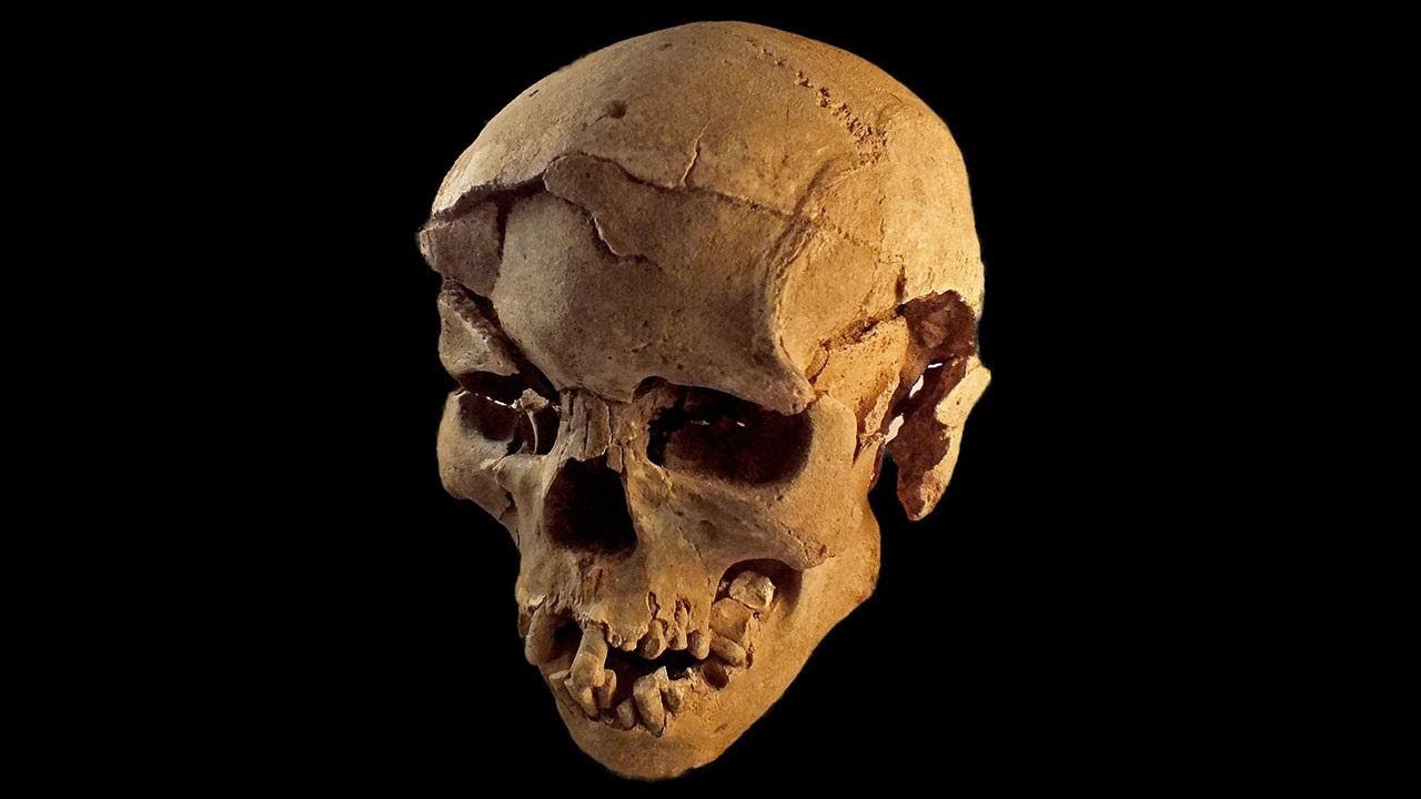 Prehistoric Warfare & Conflict Origins 🛡️