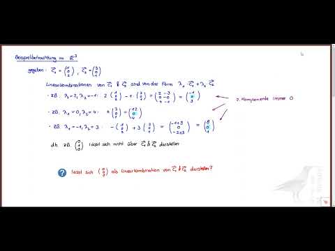 Vektorrechnung: Klarheit bei Linearkombinationen – Eindeutigkeit & Nicht-Eindeutigkeit erklärt 📐