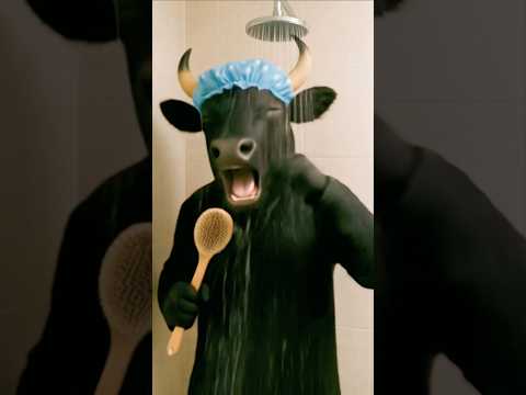 Boi da Cara Preta Dançando e Cantando no Chuveiro 😱🐂🎤🚿🤪 #ytshorts #boidacarapreta #boiboiboi