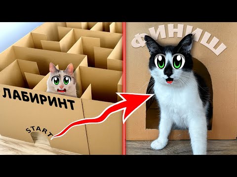 Построили Гигантский КАРТОННЫЙ ЛАБИРИНТ ! Экстремальный ПОБЕГ ЧЕЛЛЕНДЖ для КОТОВ