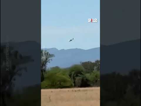 💥 Una avioneta narco cayó en un campo de Salta con más de 130 kilos de cocaína