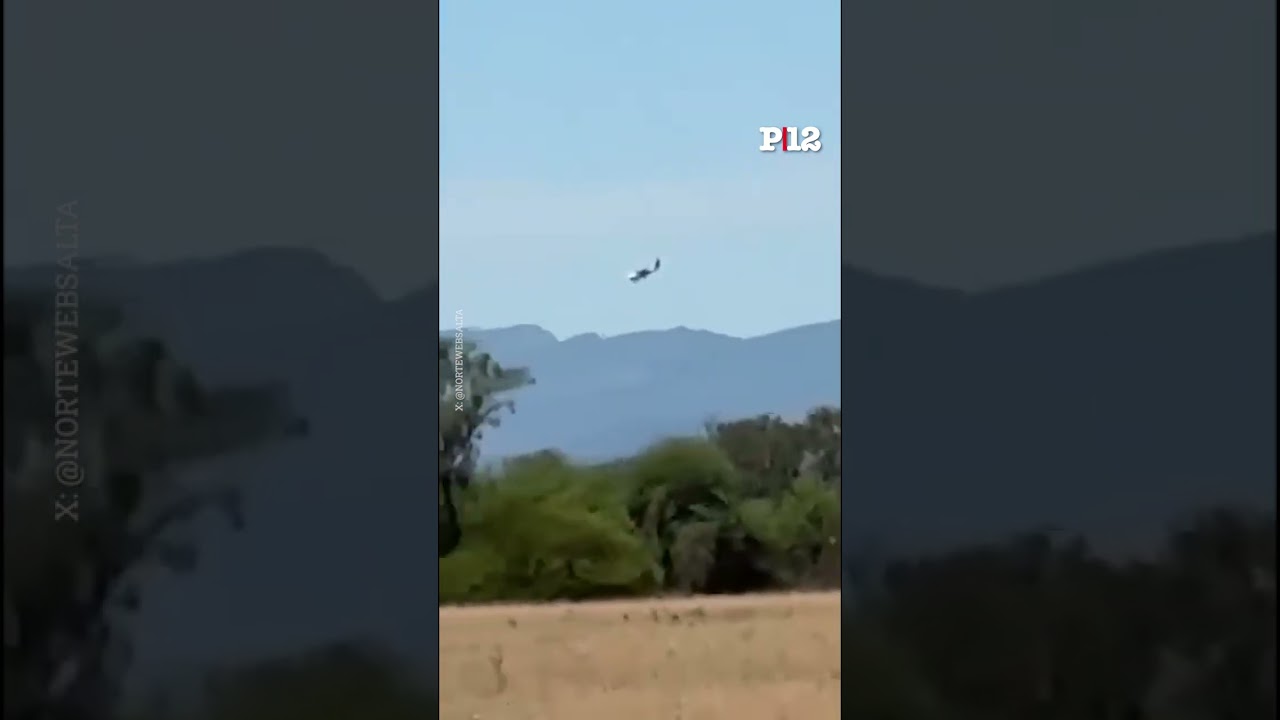 Avioneta con matrícula boliviana cae en Salta con más de 130 kilos de cocaína