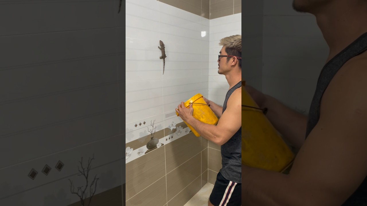 Chủ nhà bắt tắc kè trong nhà vui nhộn 🦎