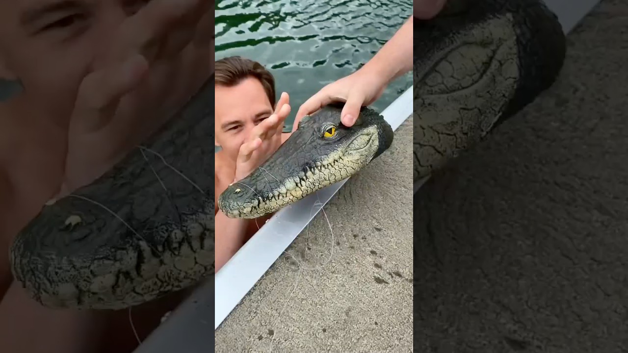 She’ll never go fishing again!🐊