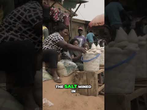 West Africa's Gold & Salt: How Empires Were Built