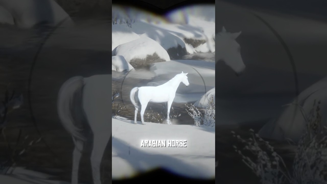 3 Essential Early-Game Tips for Red Dead Redemption 2 🐎