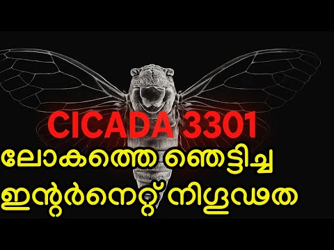 ഇതുവരെ ആരും കണ്ടുപിടിക്കാത്ത ക്ലൂ ഹണ്ട് | Cicada 3301 - The Real Story #mystery #malayalam