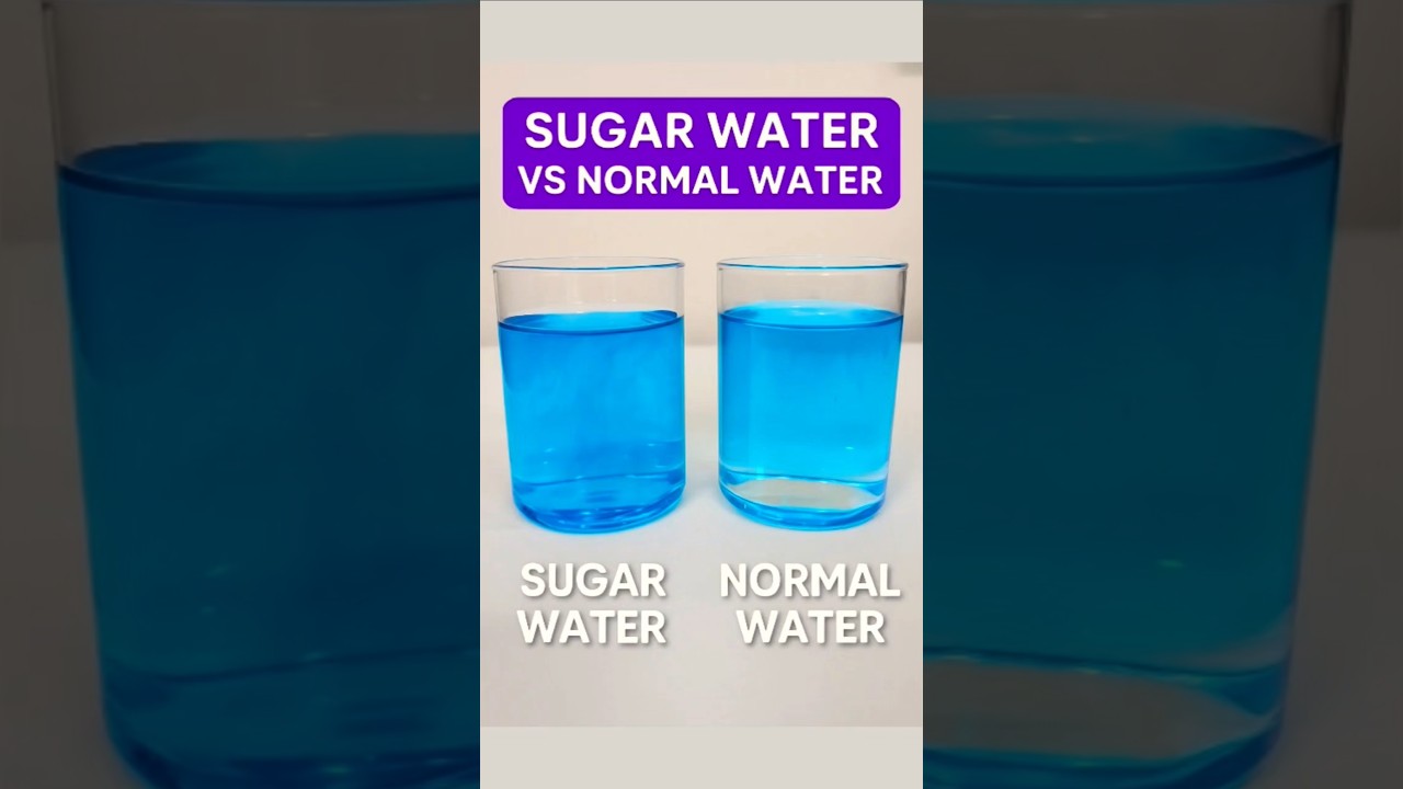 Water Density Experiment for Kids & Teachers π