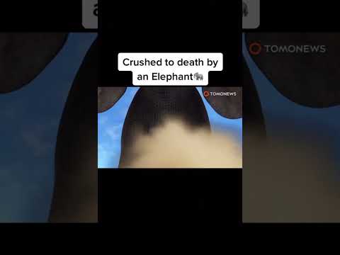 Worst Animal Attacks On Humans // Part 1