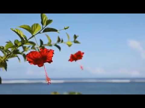 PIZZA - Улыбка | MusicTop