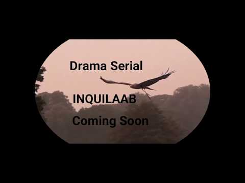 Promo INQUILAAB
