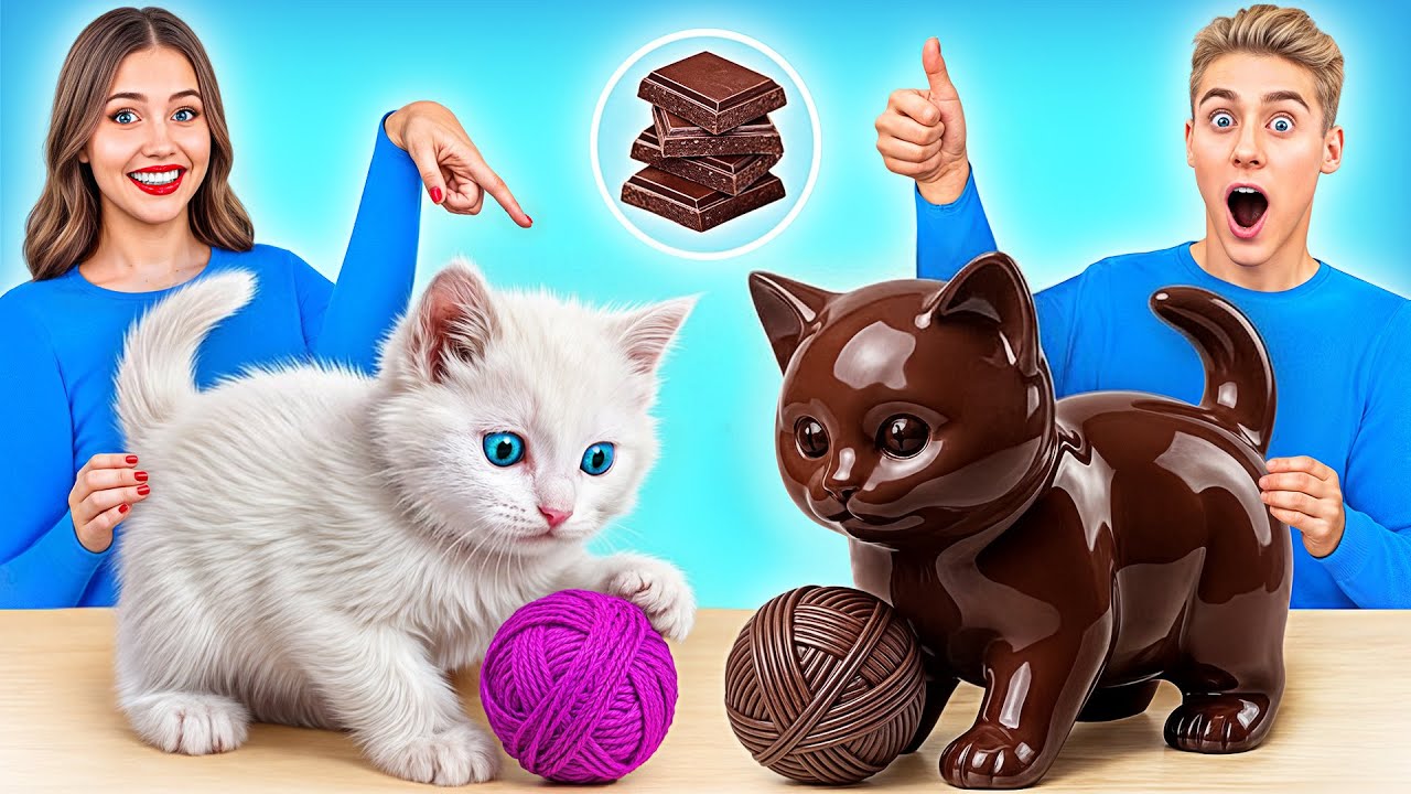 Real Food vs Chocolate Challenge π«