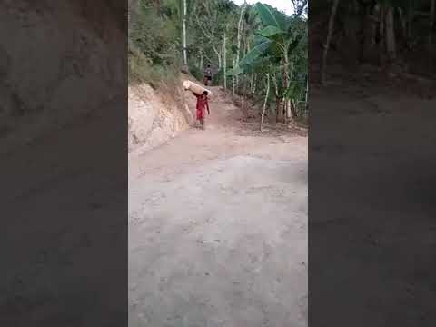 Kuli Angkut: Kerja Serabutan di Desa 🚜