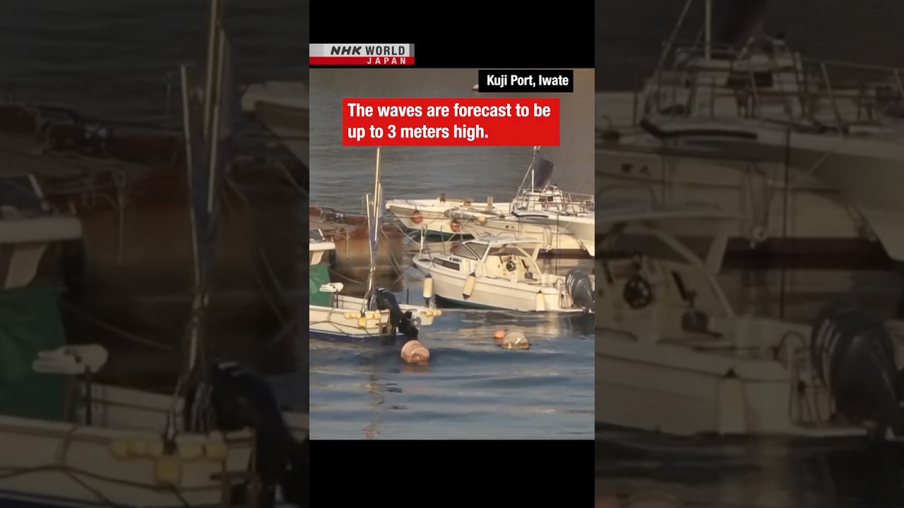 7.5 Magnitude Quake Hits Northern Japan 🌊