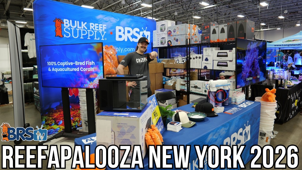 Reefapalooza New York 2026 Walkthrough!