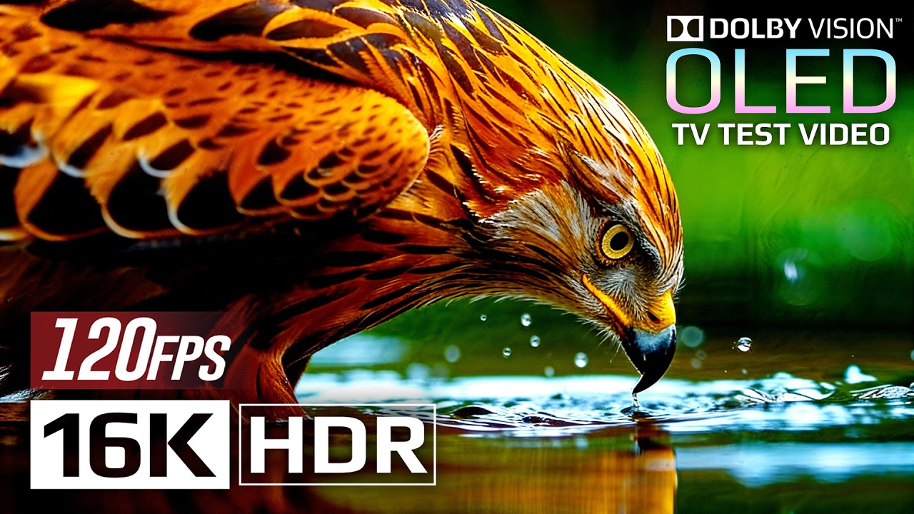 Ultra Clarity 16K HDR 120fps Dolby Vision 📺