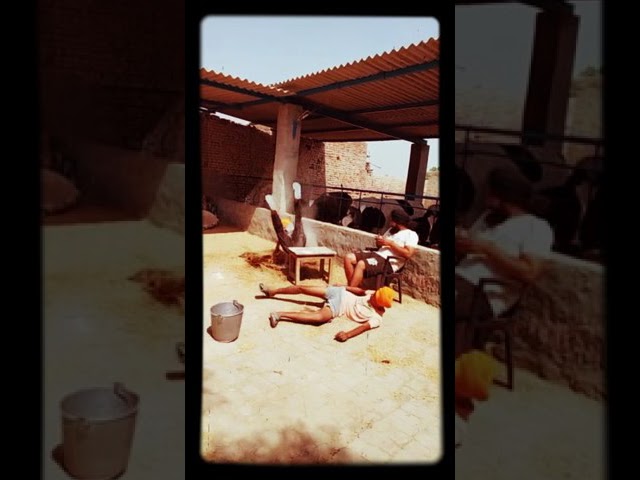 Kick the Balti: A Comedy Show