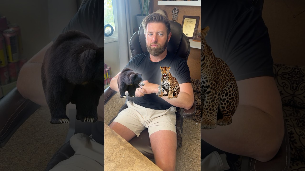 Animals to Watch Out for in the Wild 🐾